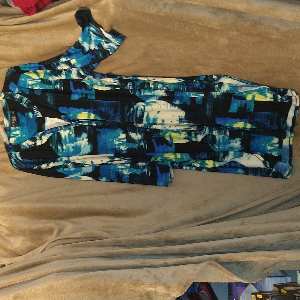 Dress Attitudes by Renee, size XL